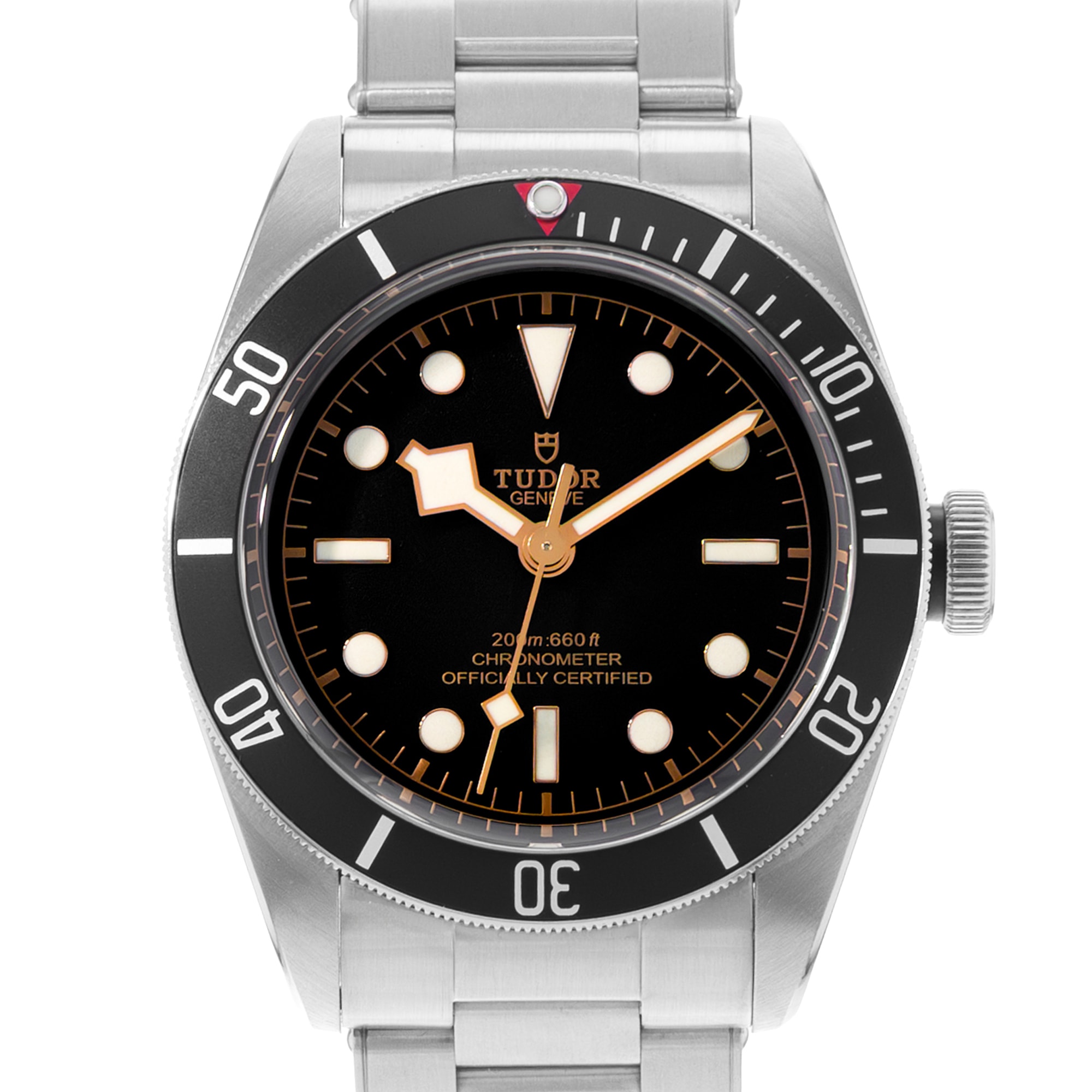 Tudor Black Bay