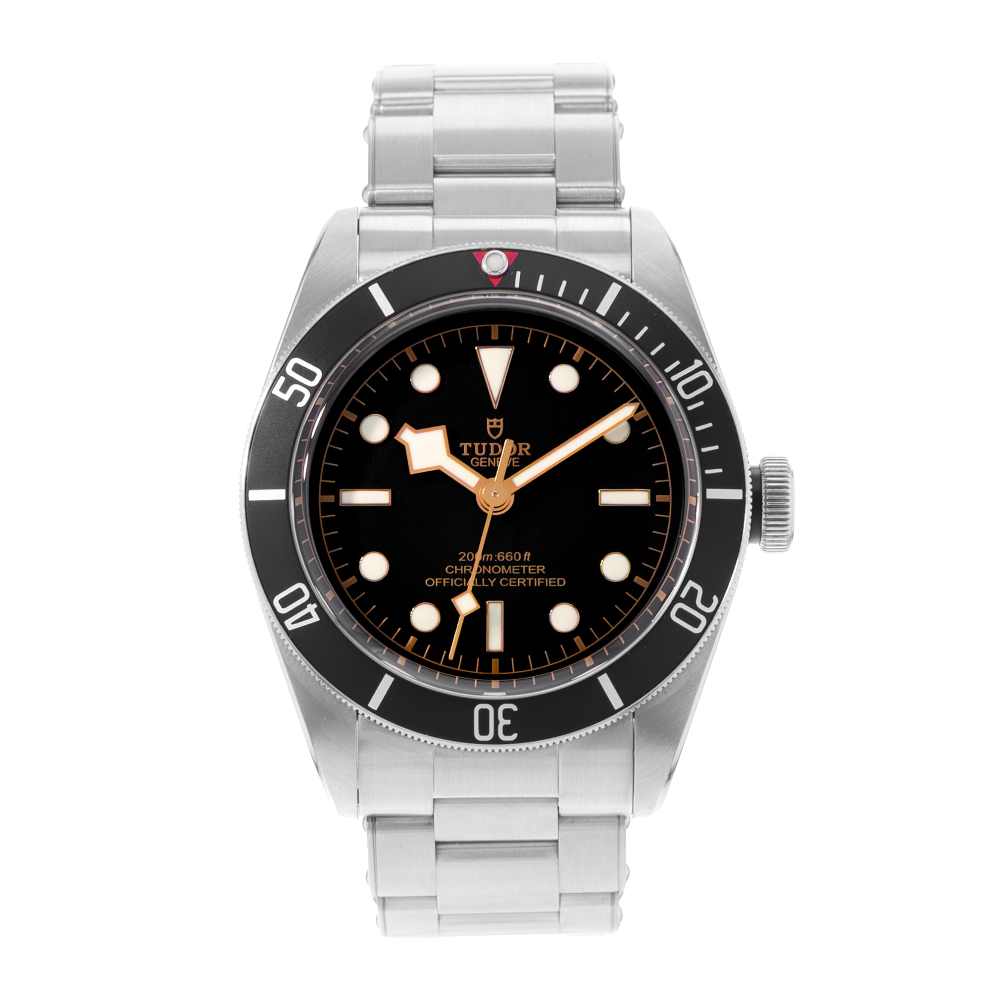 Tudor Black Bay