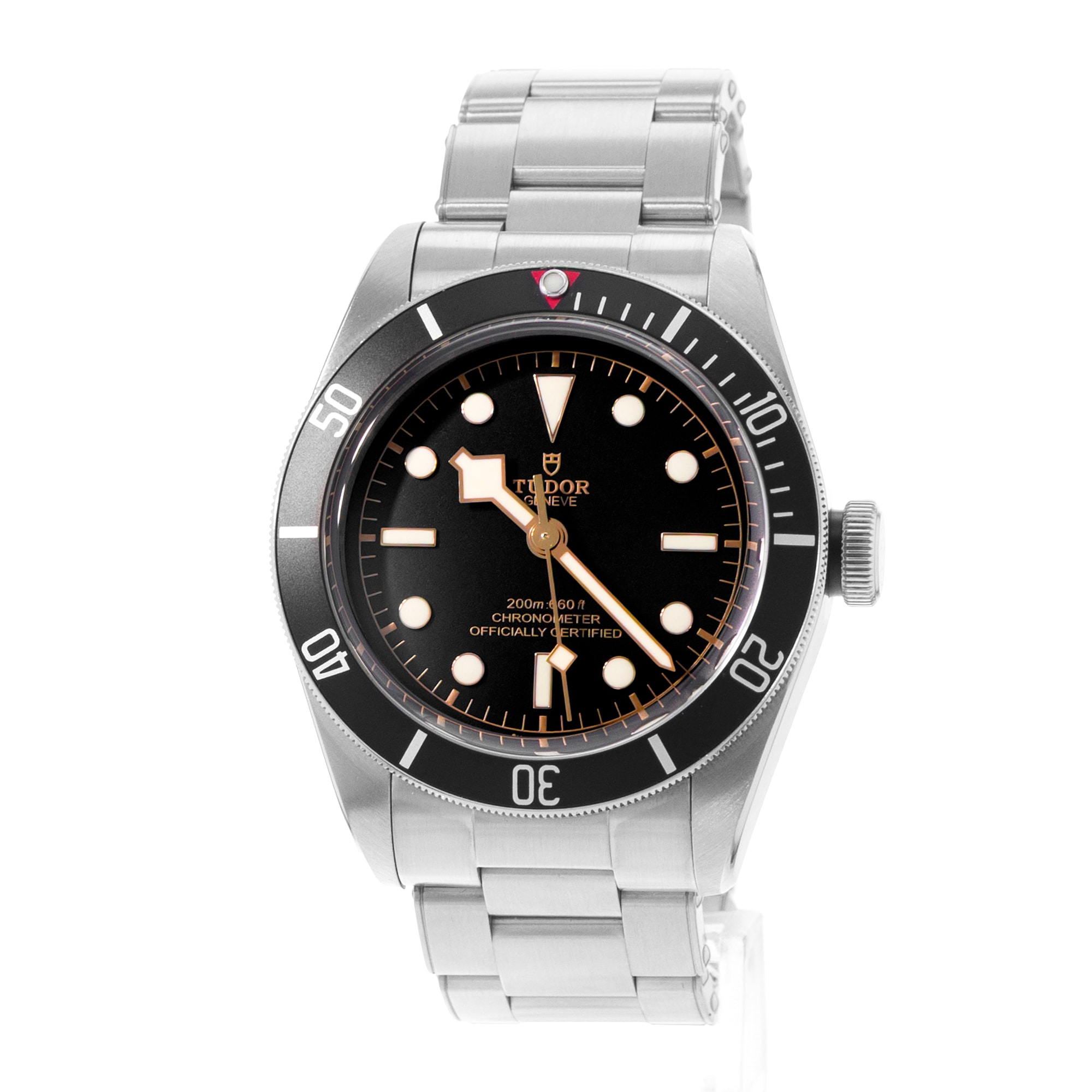Tudor Black Bay