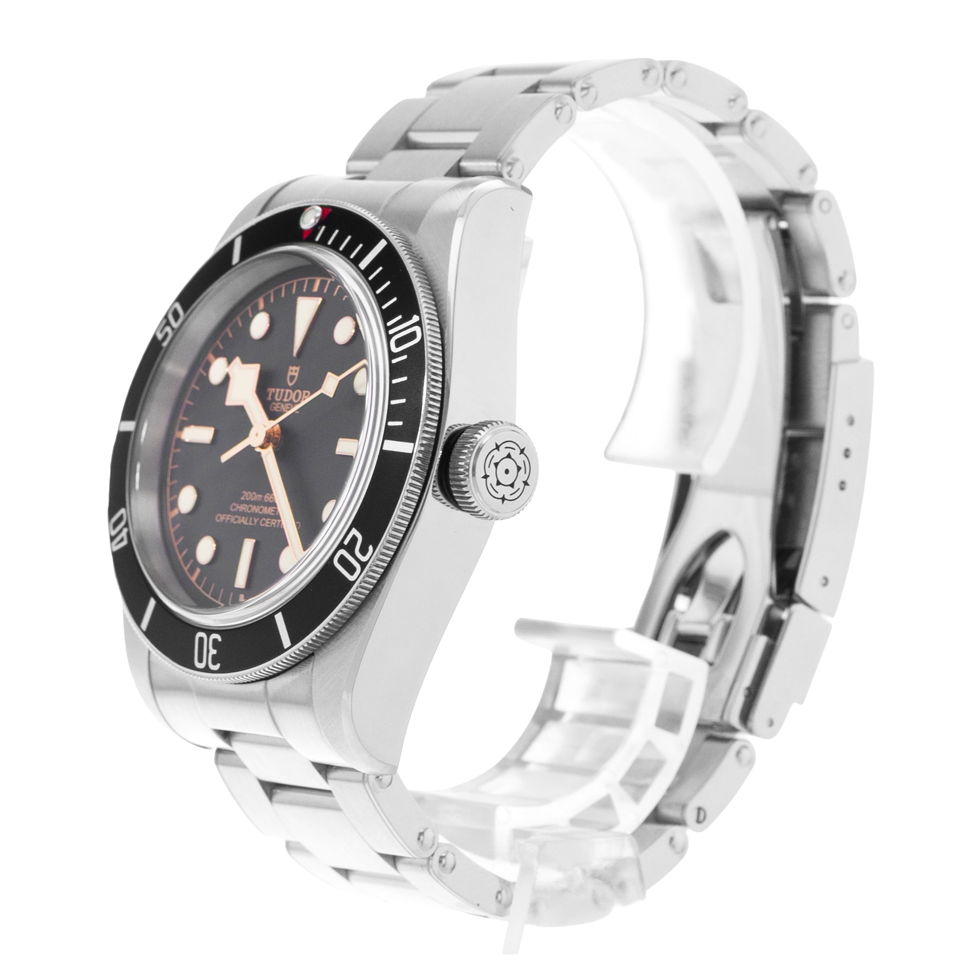 Tudor Black Bay