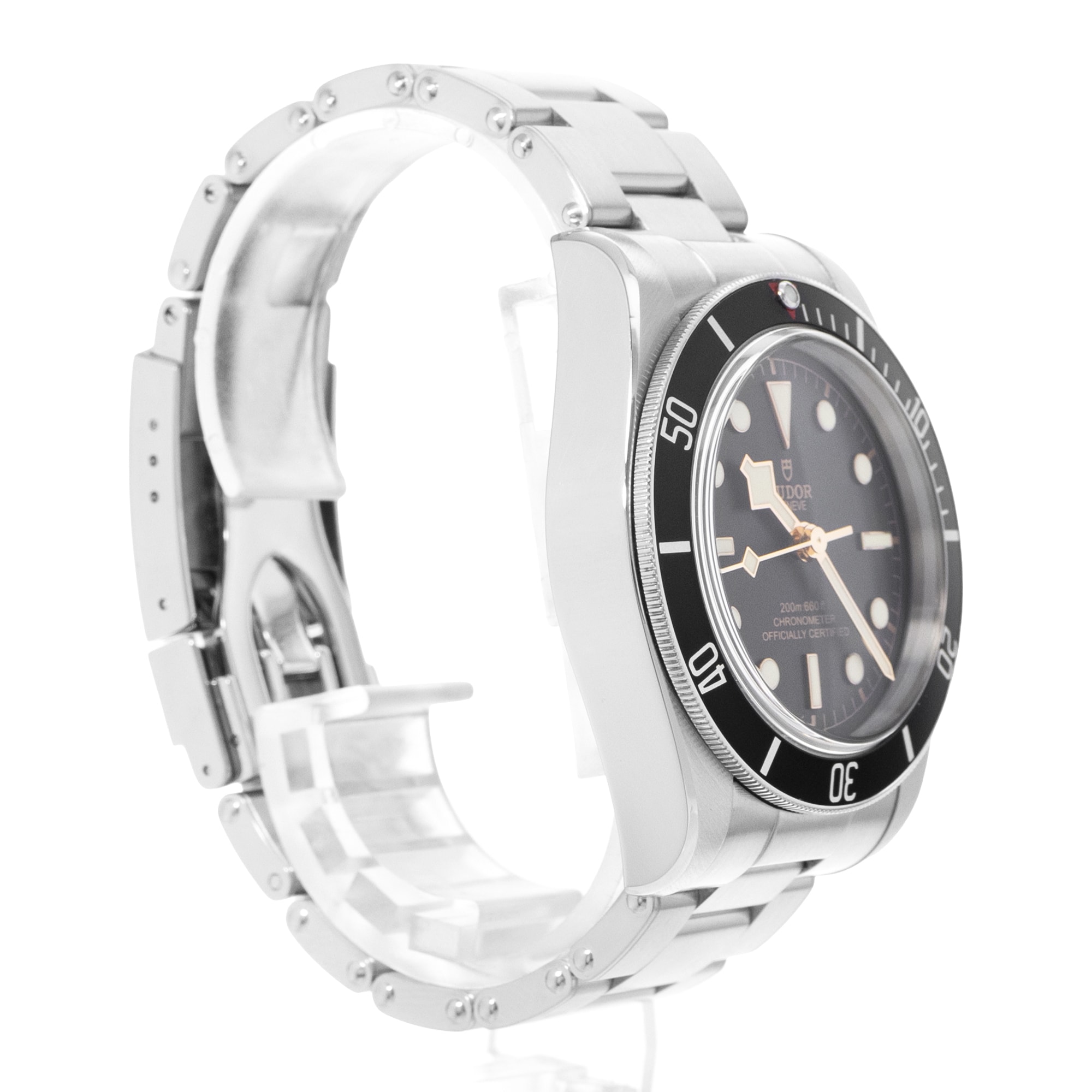 Tudor Black Bay
