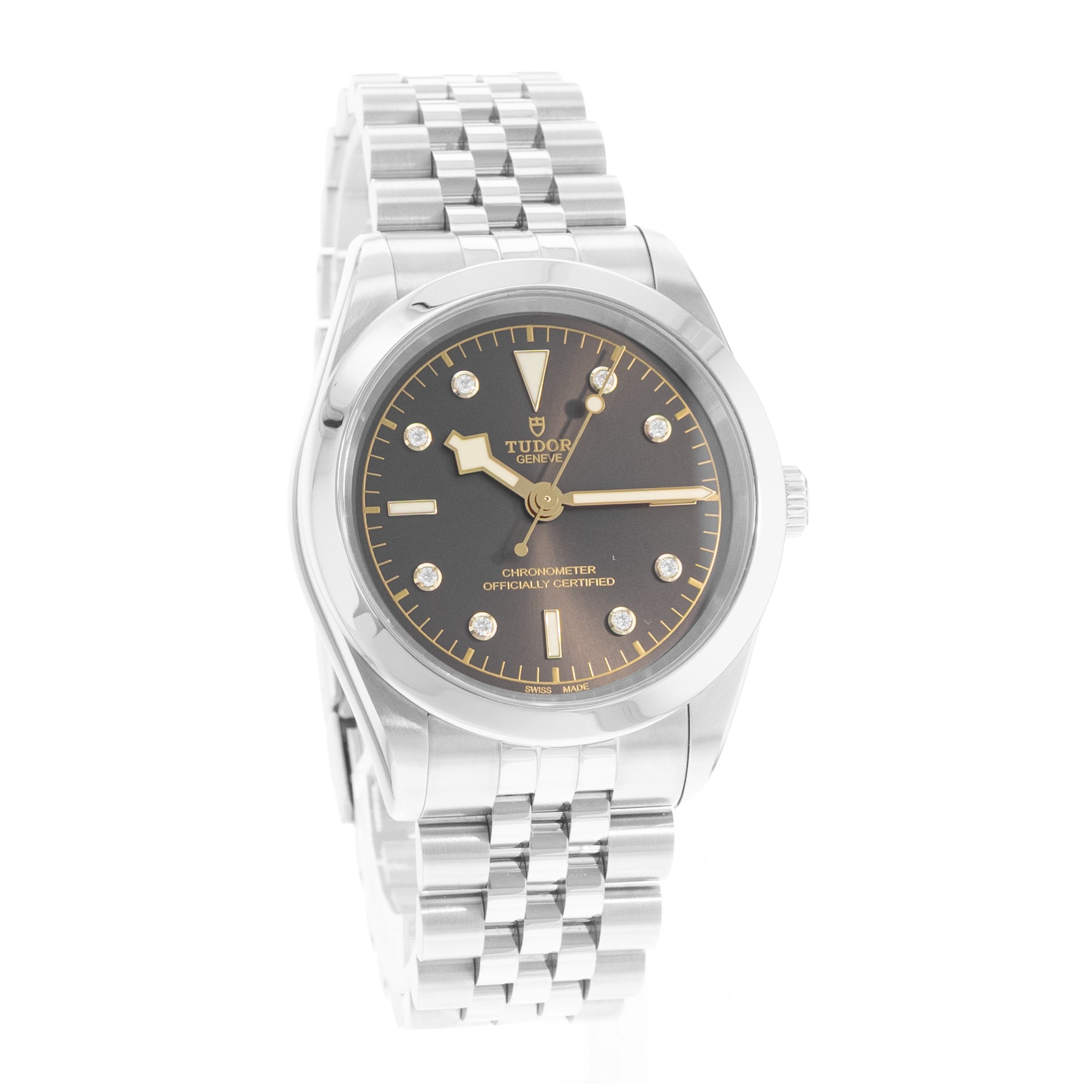 Tudor Black Bay