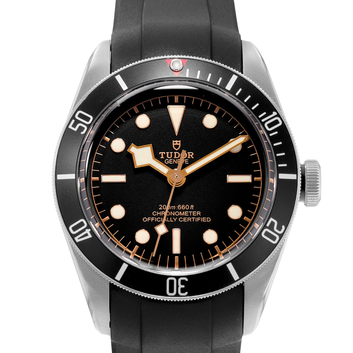 Tudor Black Bay