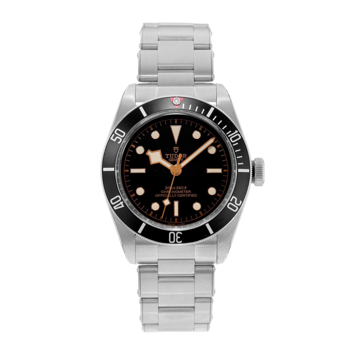 Tudor Black Bay